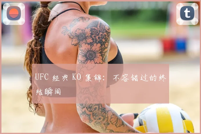 UFC 经典 KO 集锦：不容错过的终结瞬间